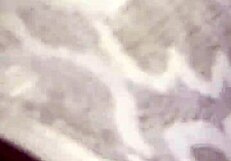 DRILLING WITH PANT ON