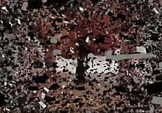 Lydia's Intense Fetish Domination