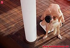 thin beautiful blonde dancing on pole with passion