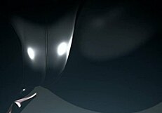 Anime Hentai Compilation With Panties