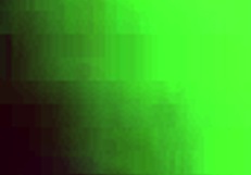 pissing in underwear on dick