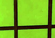 Emotional Journey in 7 Room Trial with Machine Translated Subtitles