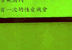 Emotional Journey in 7 Room Trial with Machine Translated Subtitles