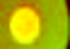 i got a blowjob and creampie in hg wind disciple p3 league of legends parody