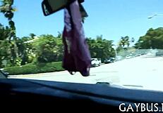 Free gay porn video of a blowjob with a big cock