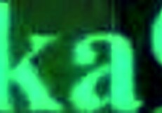 Bea Saito and Lyra Kotone Fuck Intensely in Pokemon Hentai!