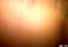 Living on fresh loads from every guy in town