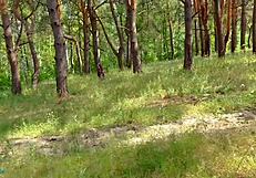 Hot stepsister teases in pantyhose, making me finish inside publicly