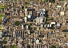 Is that ass in front of investors?