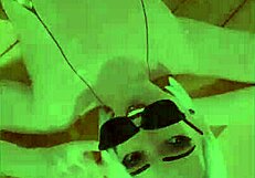 Overwatch Animated Compilation 137