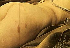 Ever Tried Vintage Bondage In My Secret Life?