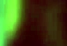 black ebony woman in a stunning black outfit