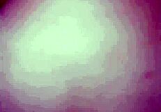 la gordita se pone en cuatro