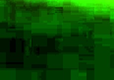 Homemade Latina Blowjob In Hotel!