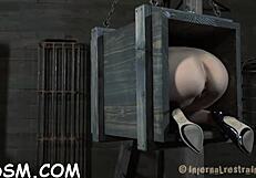 i indulge in sadomasochism with hardcore sucking and fucking