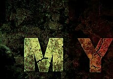 Vintage Erotic Illustrations with a Classic Sensual Touch