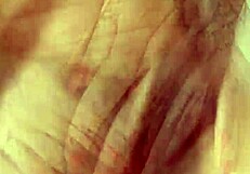 Ready to eat cock and have my holes burst full video in xvideos red