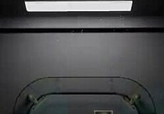 harley’s massive tits and ass in wild hentai action with monster cock, damn! 😍