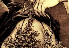 Explore vintage erotic drawings?