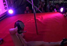 Salon erotico de barcelona 2015 mifaceporno!