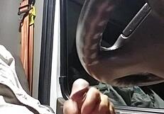 Jerking off with a cockring for intense cum action