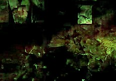 Vintage Erotic Illustration Captures Timeless Charm