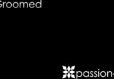 Passion-hd big tits brunette gets shaved pussy and blowjob