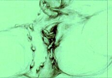 Vintage Erotic Drawings From Antique Anime Hentai