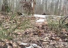 Damn! Peeing on her panties in the woods unseen