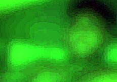 does this slutty wife love sucking dick with gagging and choking?