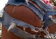 Ladyboy Video Collection