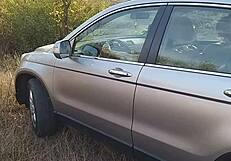 lingerie-clad babe on outdoor adventure with cream tube and peeing in nature