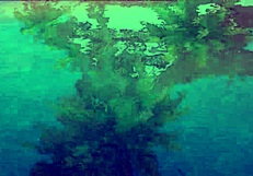 doa 6 3d hentai preview version