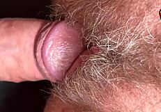 Close up of a hairy beaver getting pounded by a big cock