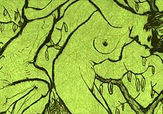 Beautiful adult artwork from the past