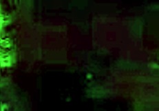 Разглеждаме стари илюстрации от мултипликции и аниме