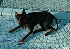 lust academy episode 135 featuring milf