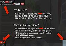 In Uncensored Code Geass, CC Takes Lelouch's Ass – Can He Handle It?