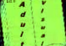 Academy 248 Intriguing Adventures Await