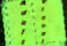 Emotional Summertime Saga 153 feels so real