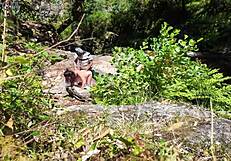 Shocked Girl Fucked by Stranger on Nudist Beach!