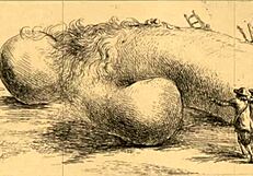 Erotic illustrations from the past