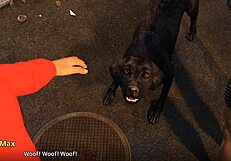 Wvm 127 film stars are there to watch