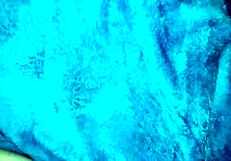 20150809 021252 Video Clip