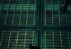 Ada Wong's D-Virus Monster Parody!