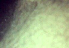 Gay Couple Willy Jesse Shares Bareback with Matthew