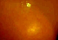 Rich Cougar Maxim Law Licks Hairless Vagina In Missionary Sex!