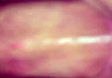 Gay Couple Willy Jesse Shares Bareback with Matthew