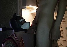 أسمودي وجاسبر، الجراء، يطبخان العشاء معا في المطبخ، يشكلان فريقا رائعا!