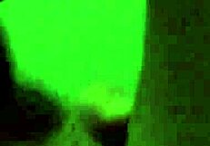 Italian amateur couple sharing intimate moments